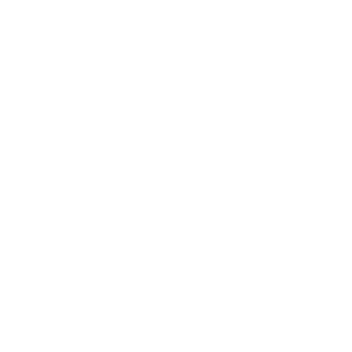 Play Icon White
