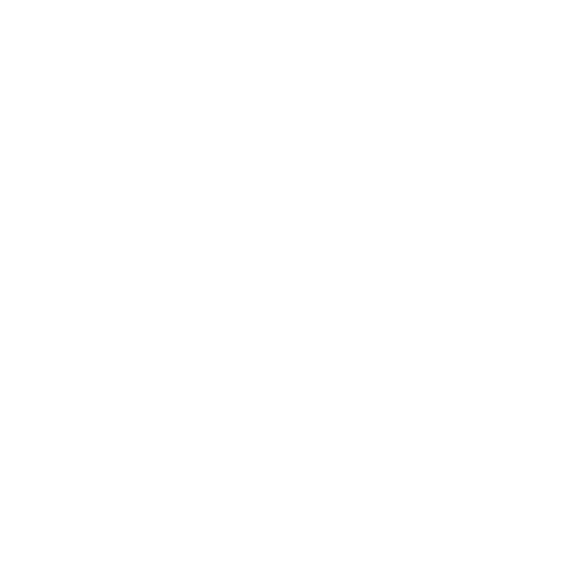 PDF white icon